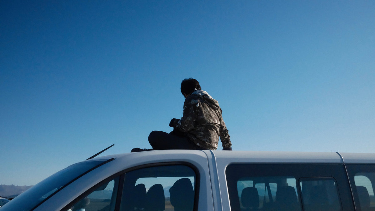THE TRAVELLER